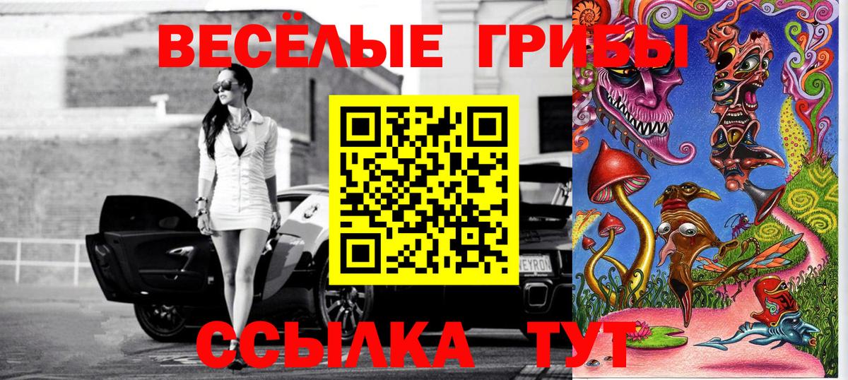 Псилоцибиновые грибы мицелий Великие Луки