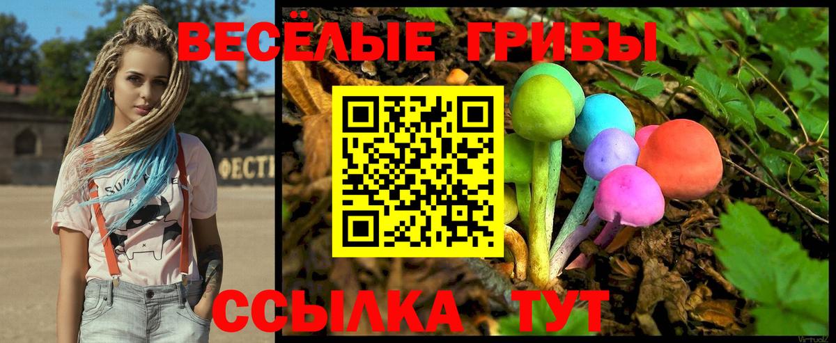 Великие Луки  Псилоцибиновые грибы GOLDEN TEACHER  где найти   Вход с VPN  Галлюциногенные грибы мухоморы 